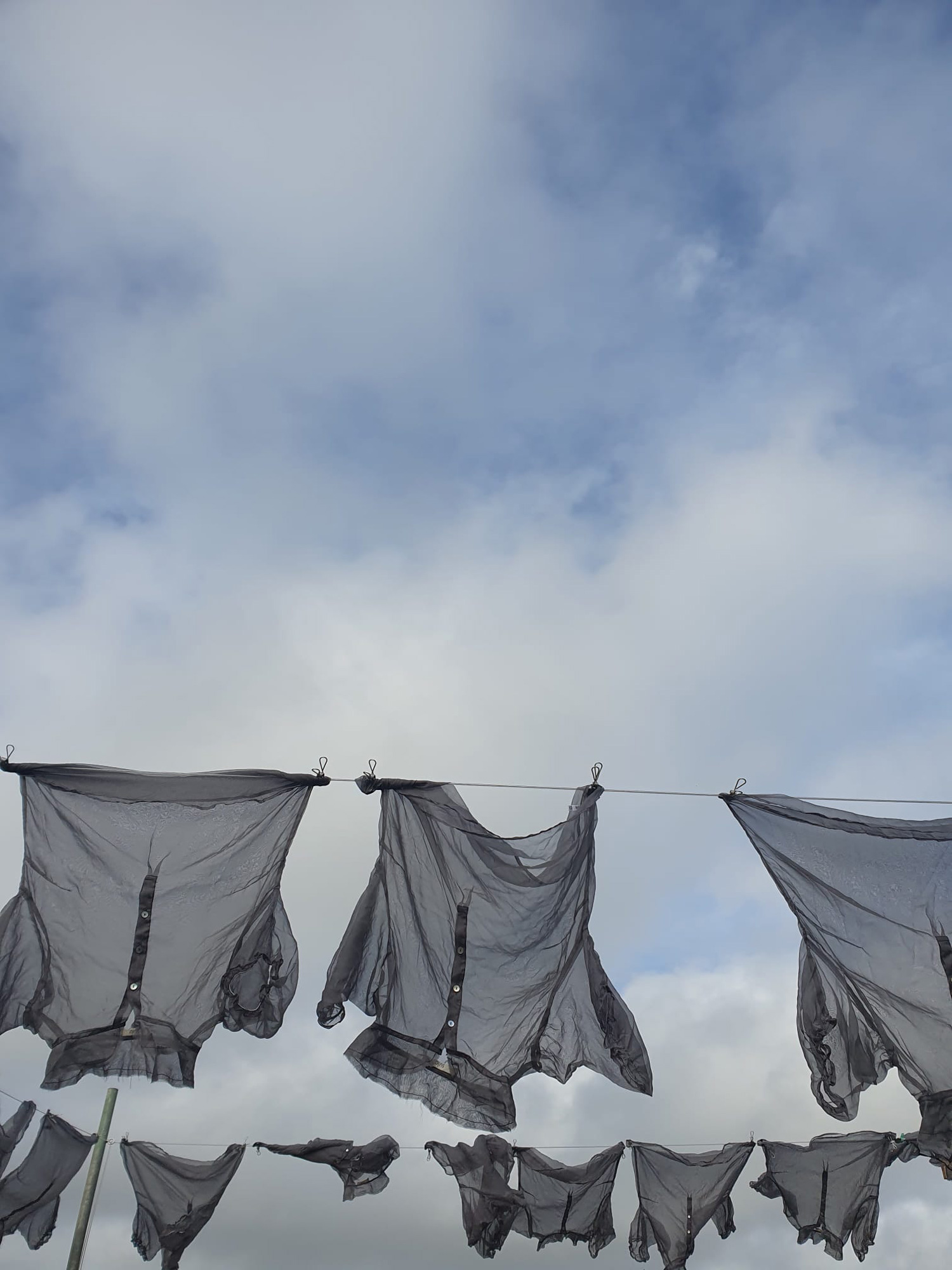 drying 2 3 seasons; 3 super-busy women!
