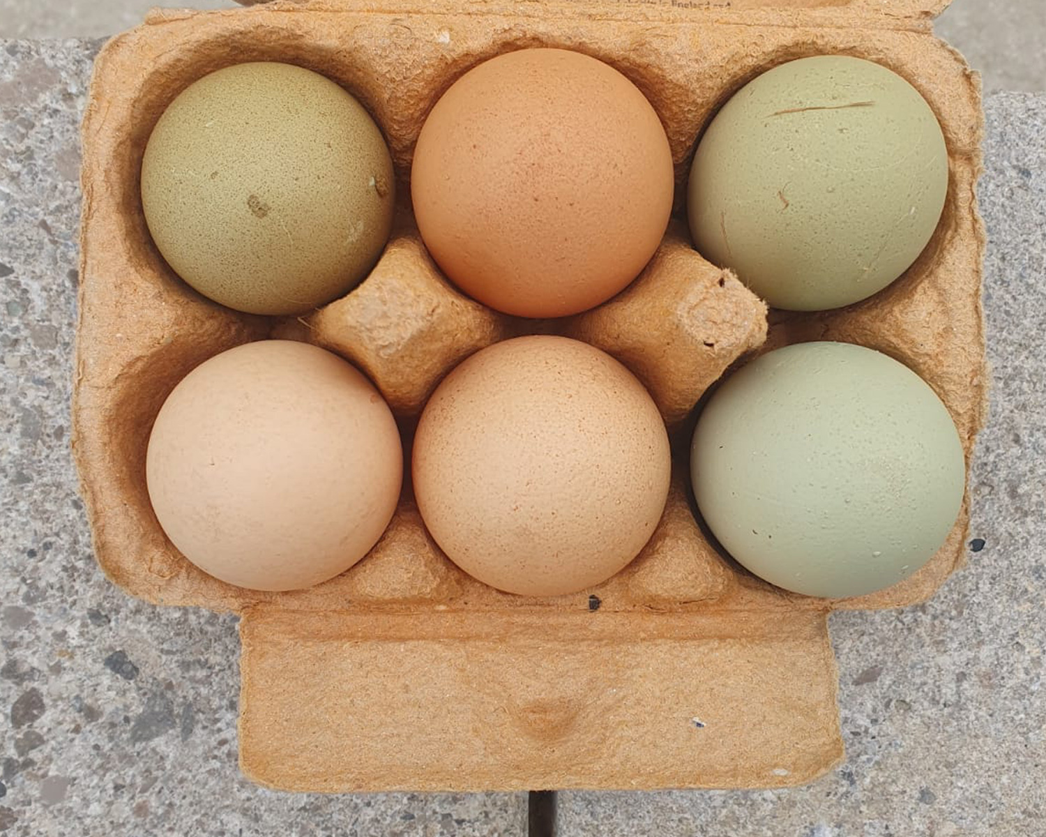 farm eggs kate griffiths